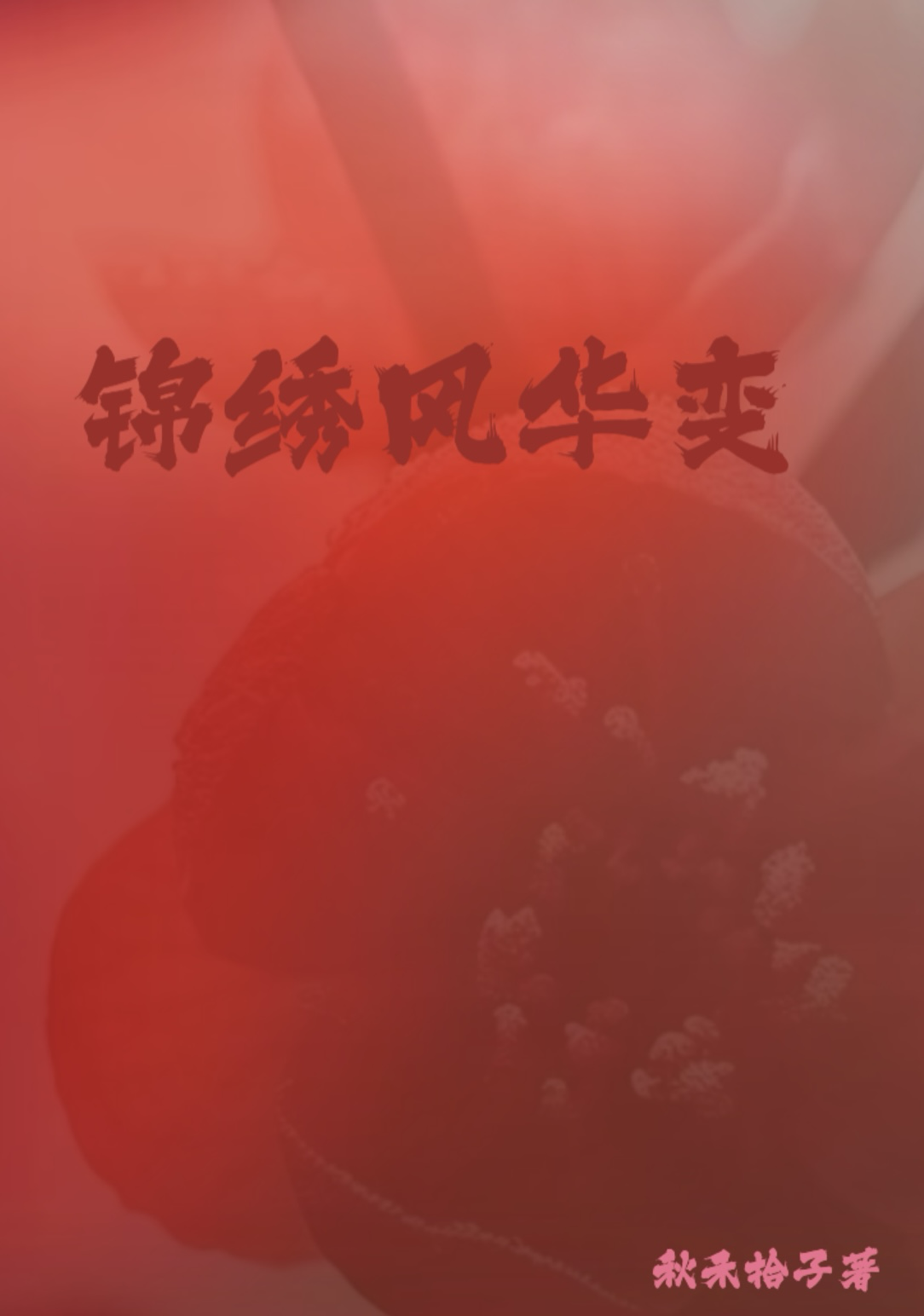 锦绣风华小说