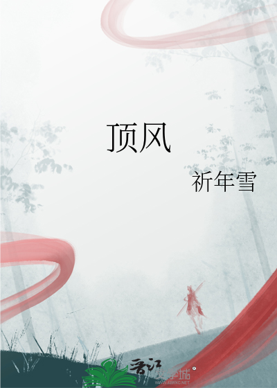 顶风出行司机