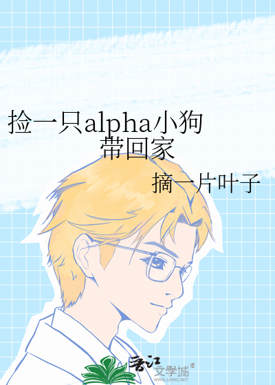 捡到了一只a小说