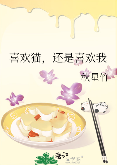 喜欢猫和喜欢狗的区别