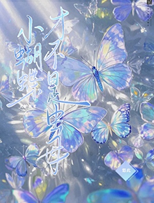 小蝴蝶是什么东西