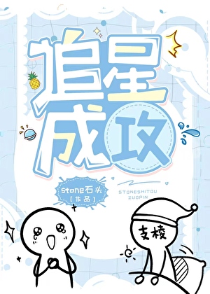 追星成功的甜文