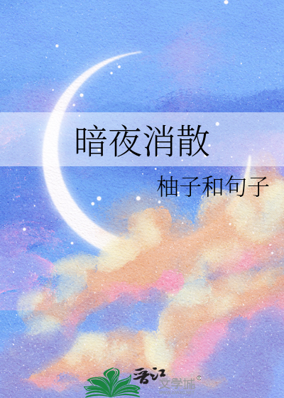 暗夜什么