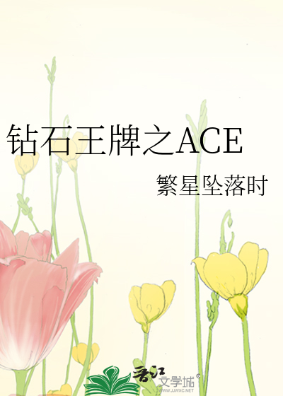 钻石王牌之ACE 小说