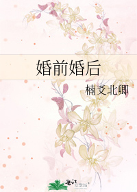 婚前婚后任平小说笔趣阁