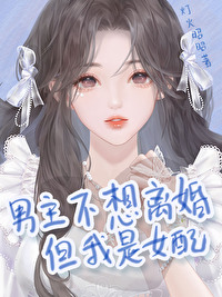 男主坚决不离婚的小说