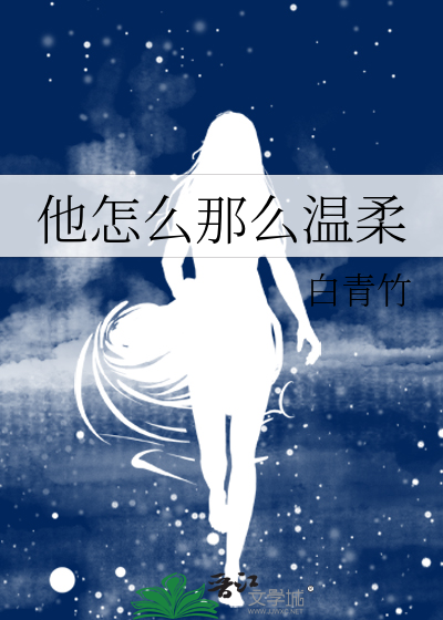 他怎么那么温柔小说