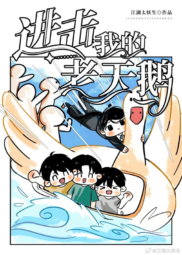 我的老天鹅免费阅读