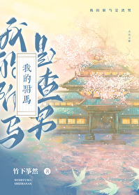 我的驸马是a