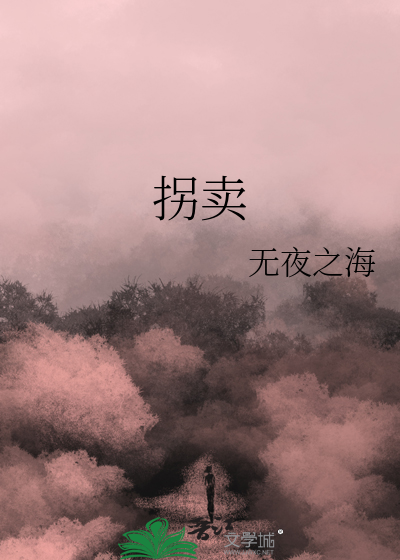 拐卖儿童的梅姨