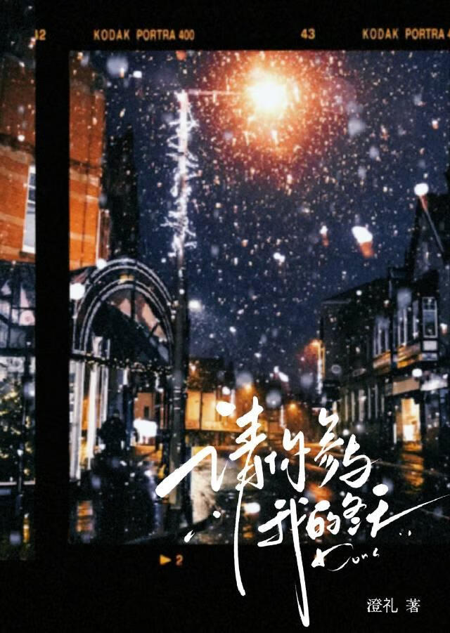 请你参与我的冬天免费阅读