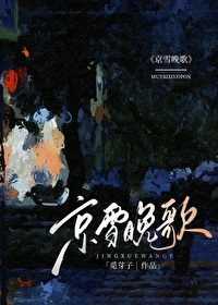 京雪晚歌小说免费阅读