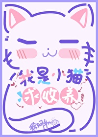 我是小猫求领养怎么说