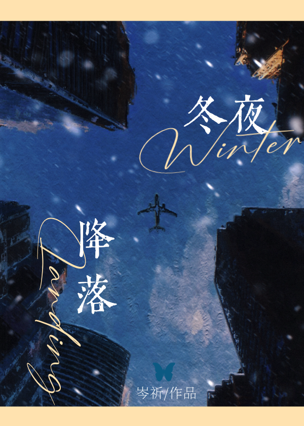 在冬夜降落全文免费