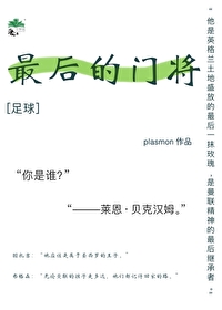 足球最后的门将plasmon