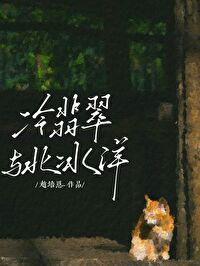 冰种翡翠和翡翠的区别