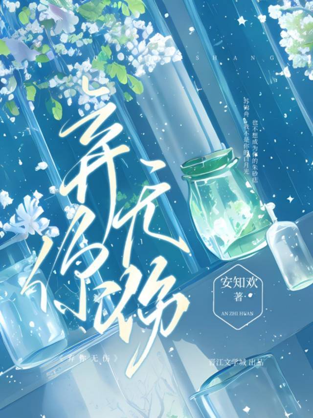 魔法灰姑娘主要内容