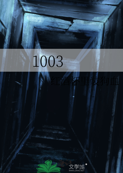 1003是什么意思