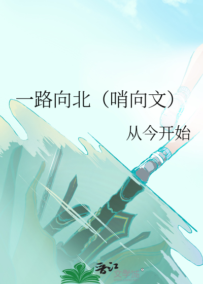 一路向北电影完整版高清
