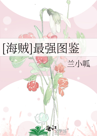 海贼最强之z