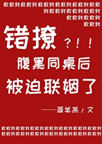 错撩同款小说