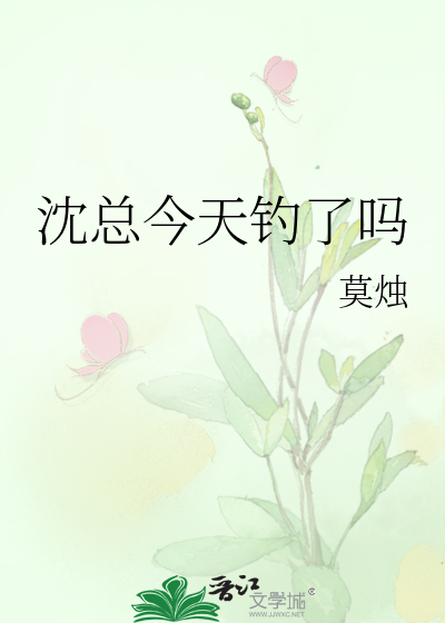 沈总今天钓了吗免费阅读