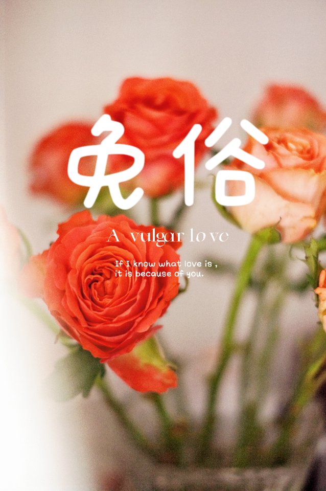 免俗四字成语