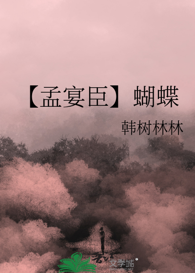孟宴臣蝴蝶墙图片
