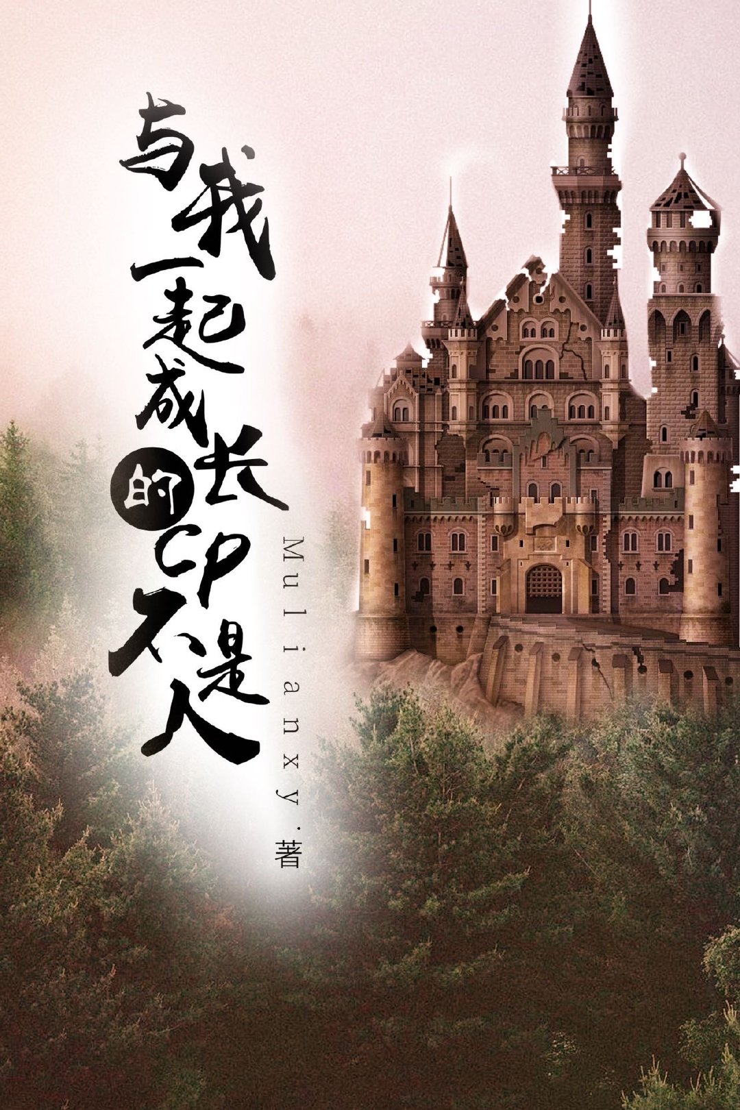 我和你一起成长作文800