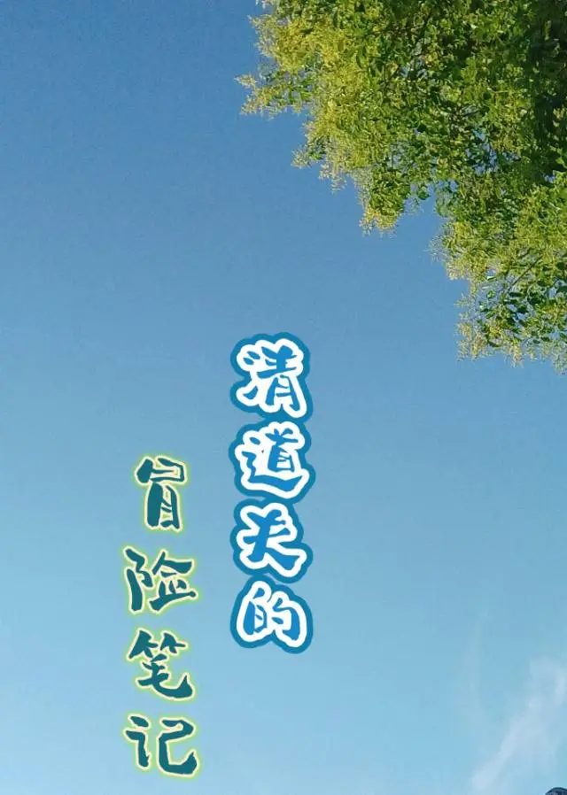 清道夫阅读