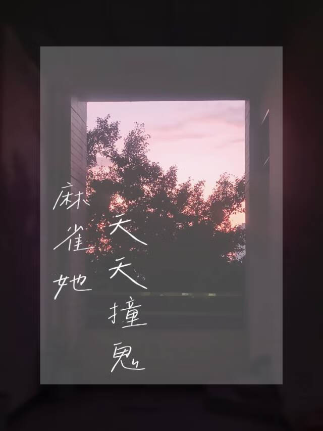 麻雀一直撞窗